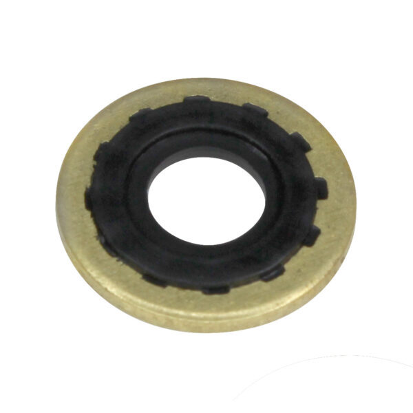 RS035 Brass Washer with Rubber Ring Oxygen