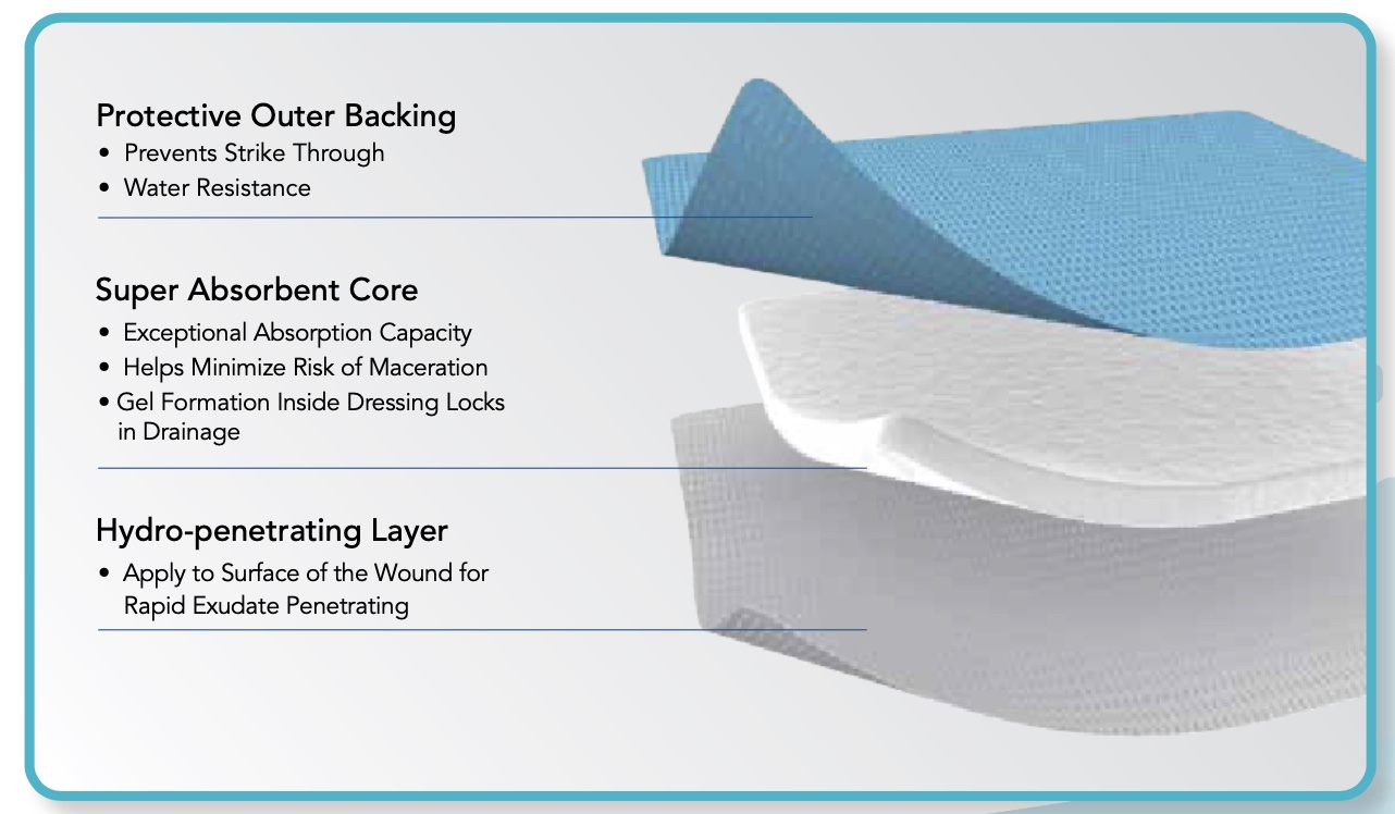 ZeniABSORB Super absorbent foam dressing non-adhesive border diagram of layers